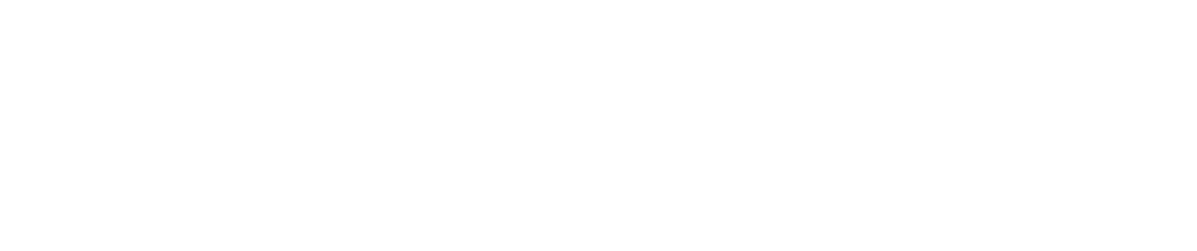 LEN SERVICE